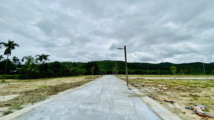 Đà Nẵng - Ảnh 1.
