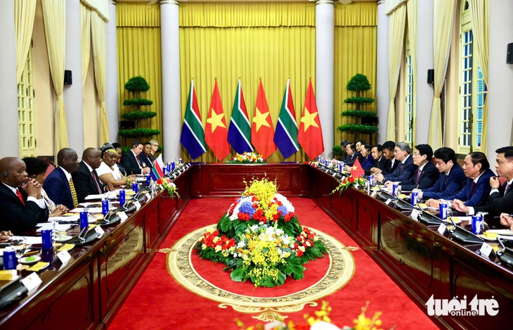 Chủ tịch nước Lương Cường chủ trì lễ đón Tổng thống Nam Phi - Ảnh 7.