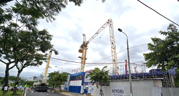 tháp cẩu công trình - Ảnh 2.