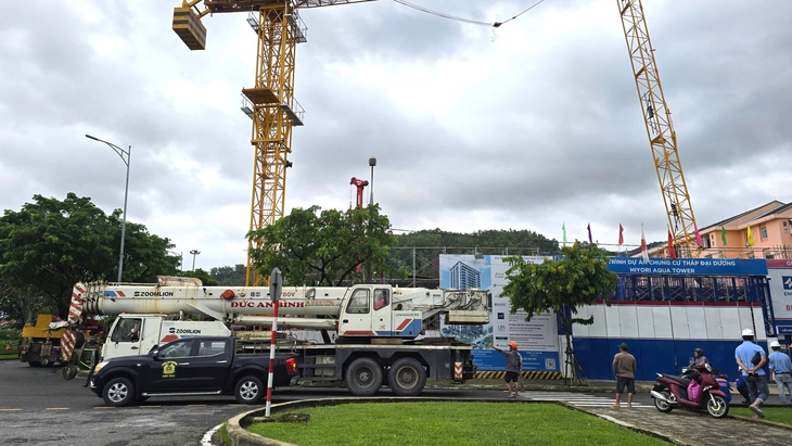 tháp cẩu công trình - Ảnh 3.