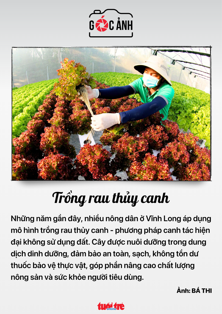 Tin tức sáng 24-10: Quốc hội bắt đầu thực hiện quy trình công tác nhân sự - Ảnh 10.
