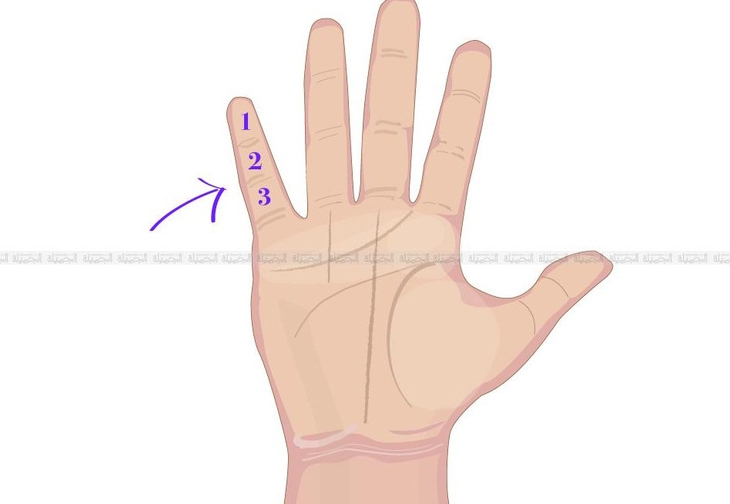 quiz - Ảnh 1.