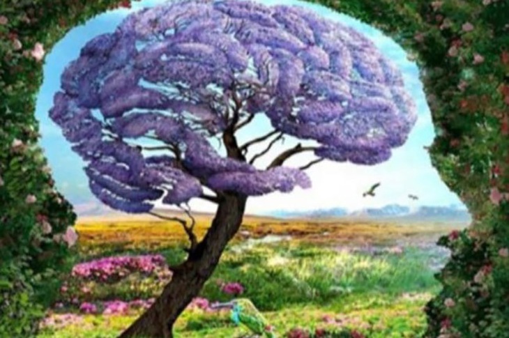 quiz - Ảnh 1.