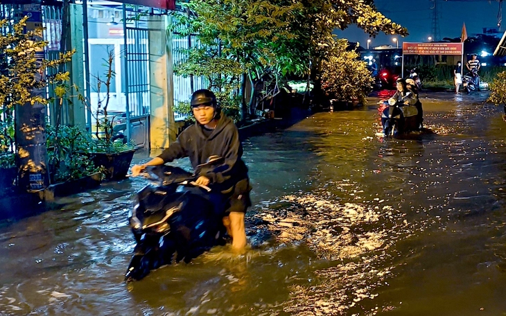 Nam Bộ, TP.HCM dự báo có nơi mưa to 100mm, thêm triều cường cao - Ảnh 2.