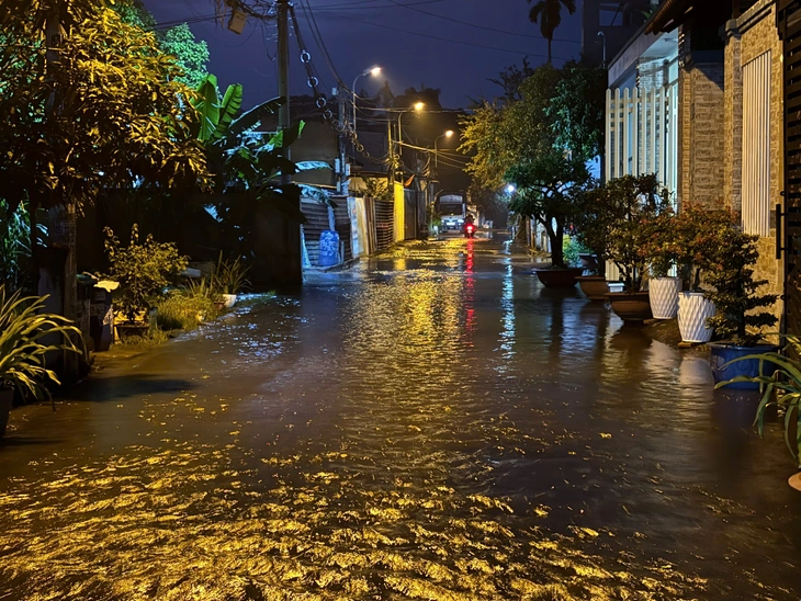 triều cường - Ảnh 4.
