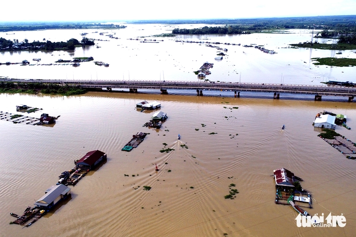 cứu người - Ảnh 2.