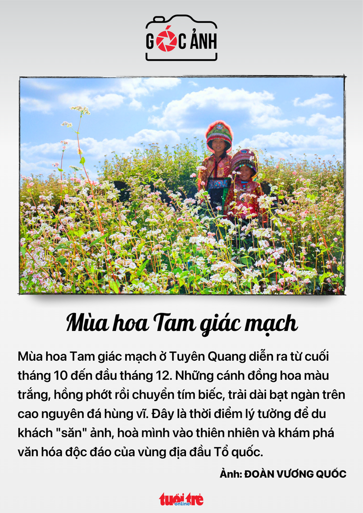 Quốc hội - Ảnh 6.