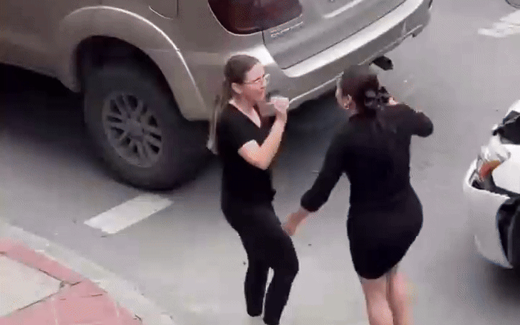 Tạm giữ hình sự Lê Bá Linh đánh người sau va chạm giao thông - Ảnh 3.