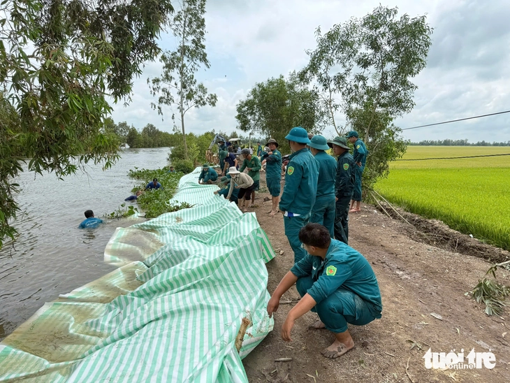 Nước lũ dâng, An Giang huy động dân quân đắp đập, gia cố đê bảo vệ lúa - Ảnh 1.