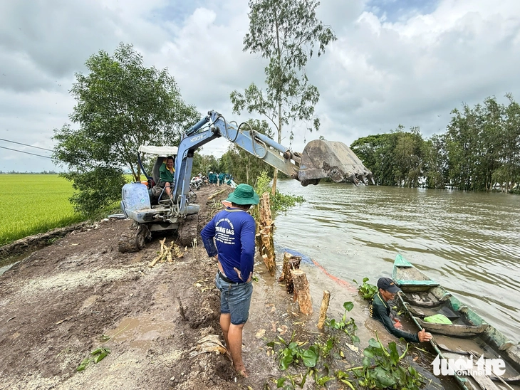 Nước lũ dâng, An Giang huy động dân quân đắp đập, gia cố đê bảo vệ lúa - Ảnh 2.
