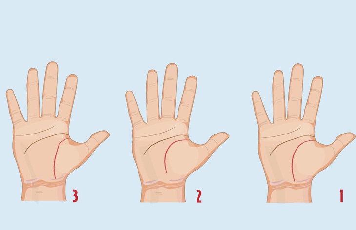 quiz - Ảnh 1.