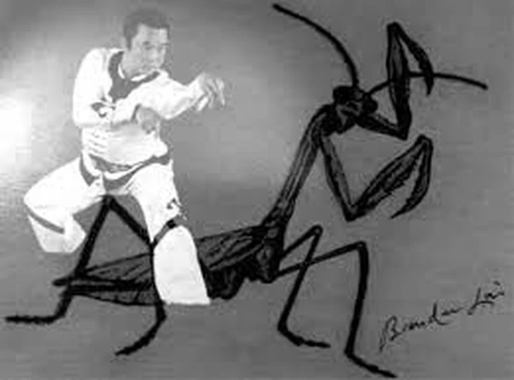 kung fu - Ảnh 5.