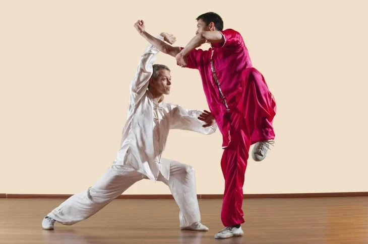 kung fu - Ảnh 6.
