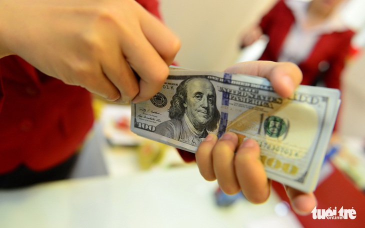 Thanh, kiểm tra hoạt động mua bán ngoại tệ của các tổ chức tín dụng - Ảnh 2.