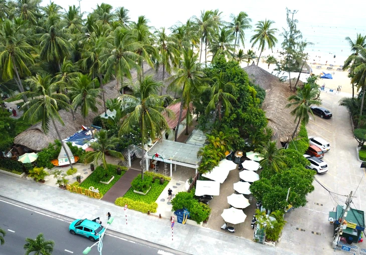 Thu hồi 'đất vàng' khu nhà hàng, quầy bar Sailing Club bên biển Nha Trang- Ảnh 1. Thu hồi 'đất vàng' khu nhà hàng, quầy bar Sailing Club bên biển Nha Trang - Ảnh 1.