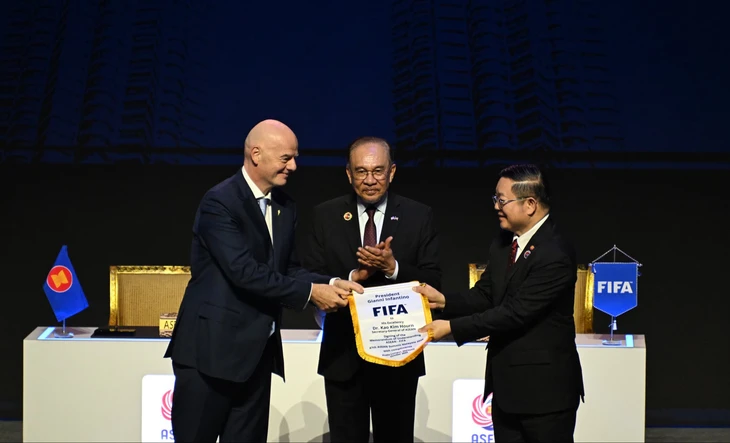 FIFA tổ chức riêng giải đấu cho Đông Nam Á - Ảnh 2.