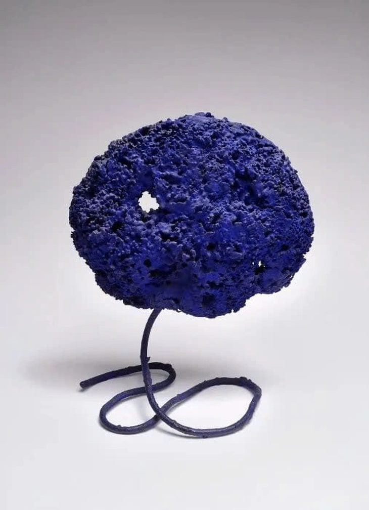 Yves Klein - Ảnh 4.