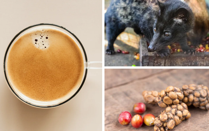 Caffeine giúp giảm đau đầu? - Ảnh 3.