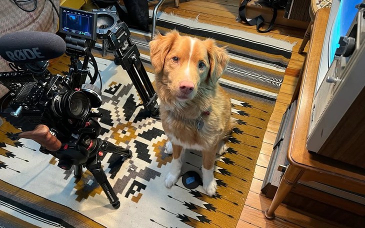 Phim One Battle After Another có Leonardo DiCaprio thắng lớn trước thềm Oscar - Ảnh 4.