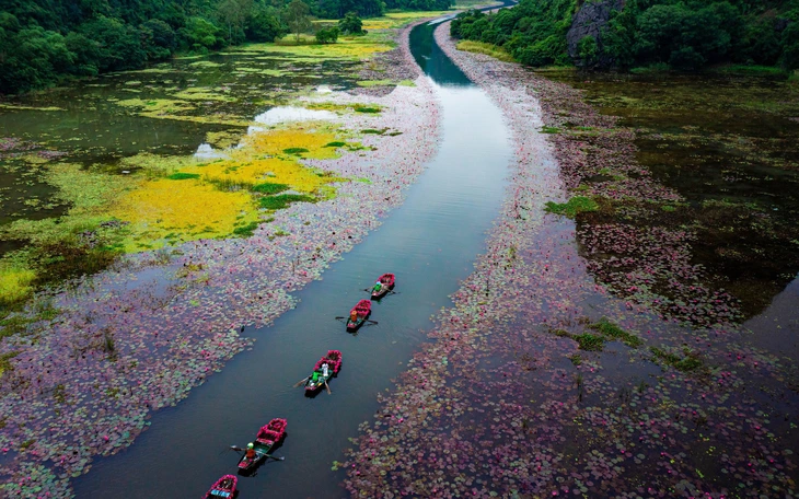 Ninh Bình - điểm đến của điện ảnh và lễ cưới cao cấp - Ảnh 3.