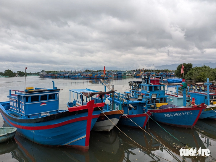 Gia Lai hỗ trợ cho chủ tàu cá chuyển đổi nghề- Ảnh 1. Gia Lai hỗ trợ cho chủ tàu cá chuyển đổi nghề - Ảnh 1.