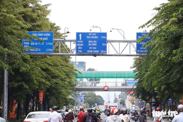 TP.HCM: Biển báo bị tán cây che mất, người đi đường khó thấy - Ảnh 6.