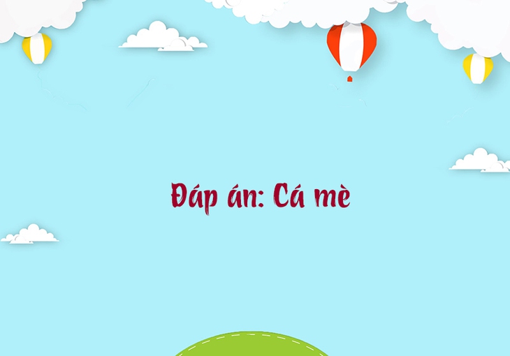 câu đố - Ảnh 4.