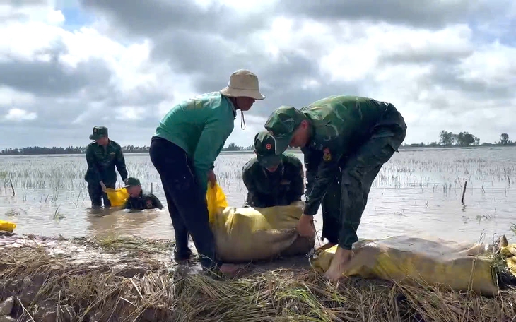 Nước sông Vàm Cỏ Đông, Vàm Cỏ Tây vẫn trên báo động III, Tây Ninh tiếp tục cảnh báo ngập lụt, sạt lở - Ảnh 3.
