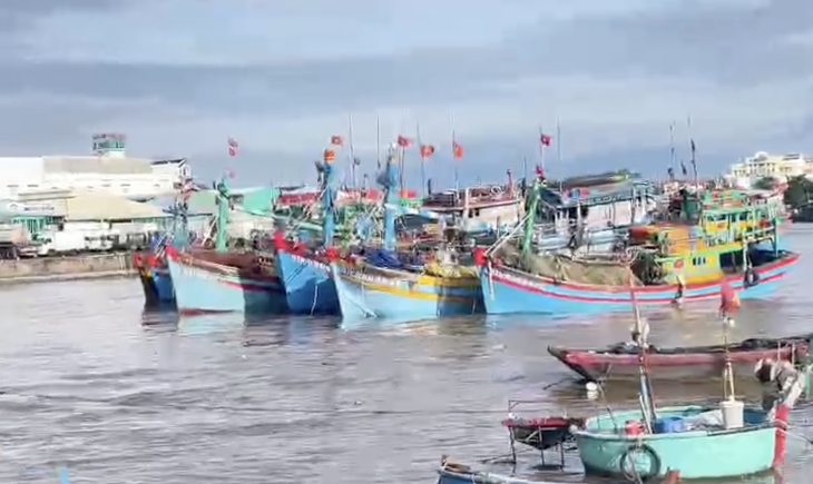 7 tàu cá dính chùm bị đứt neo trôi dạt ở cửa biển Phan Thiết - Ảnh 1.