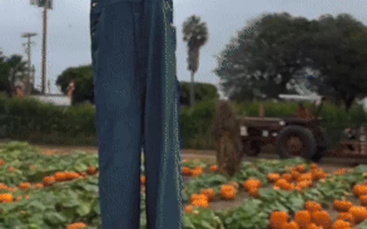 Hoàng gia Anh phẫn nộ vì Hoàng tử Harry và Meghan Markle tiệc tùng thâu đêm - Ảnh 5.