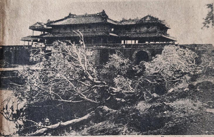 Những trận bão lũ khủng khiếp - Kỳ 3: Cơn cuồng phong kinh hoàng mang tên bão số 8 - Ảnh 4. bão lũ - Ảnh 4.