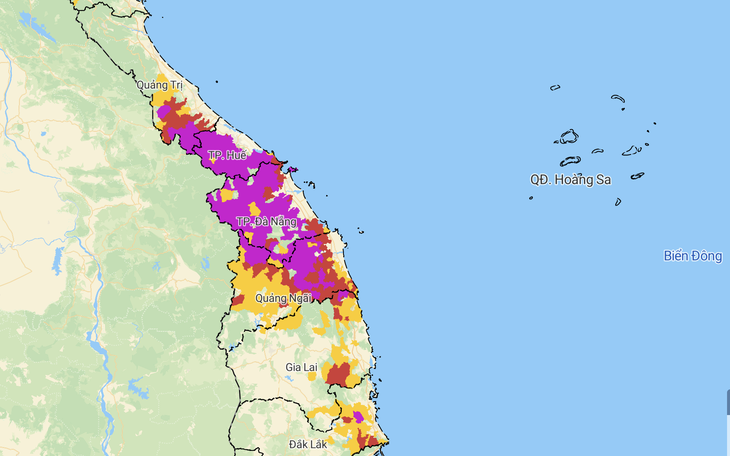 May mà Bạch Mã còn rừng! - Ảnh 2.