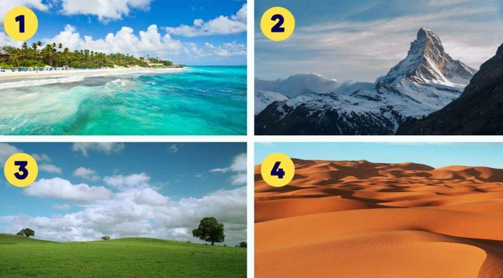 quiz - Ảnh 1.
