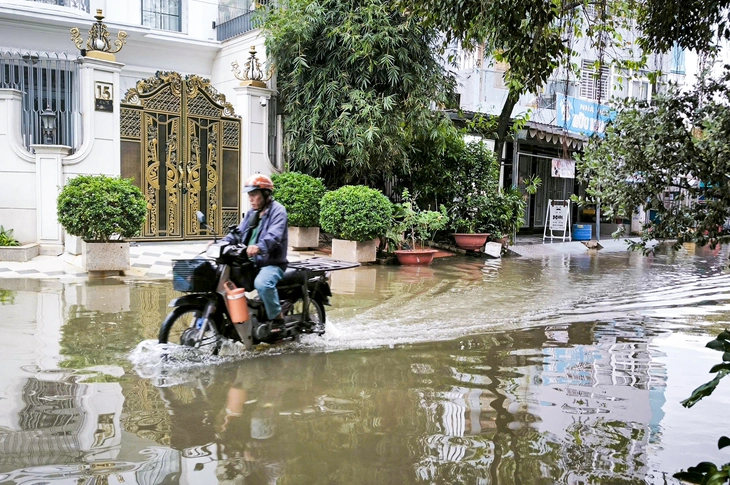 Vì sao Bình Quới và Thủ Dầu Một ngập nặng hơn nhiều nơi trong đợt triều cường kỷ lục? - Ảnh 2.