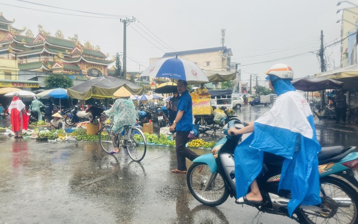 Cù lao Ông Hổ sạt lở nghiêm trọng, ‘nuốt’ cả con đường nông thôn - Ảnh 2.