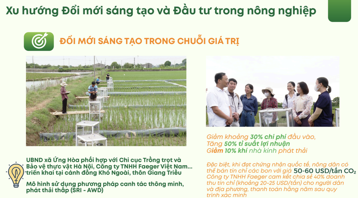 trồng lúa - Ảnh 2.
