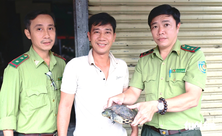 Rùa cổ sọc 'đi lạc' ở xã Bà Điểm, người bán trái cây bắt được giao Kiểm lâm TP.HCM- Ảnh 1. rùa cổ sọc - Ảnh 1.