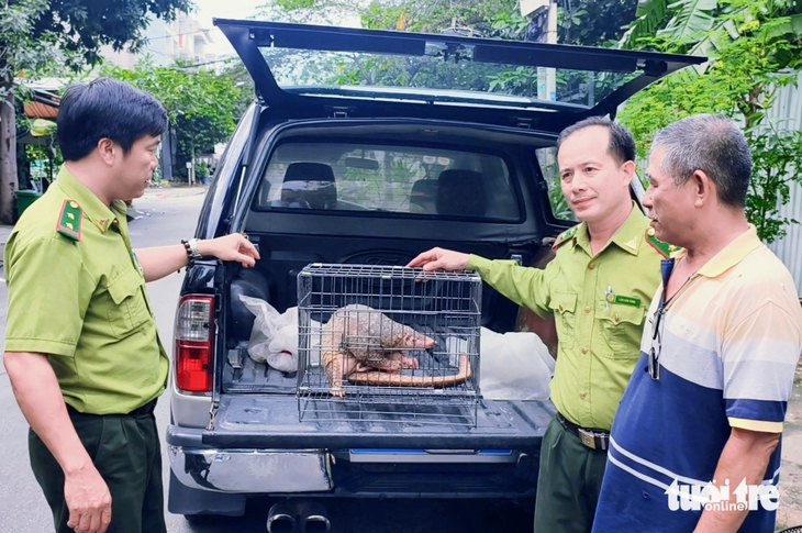 Rùa cổ sọc 'đi lạc' ở xã Bà Điểm, người bán trái cây bắt được giao Kiểm lâm TP.HCM- Ảnh 3. rùa cổ sọc - Ảnh 3.