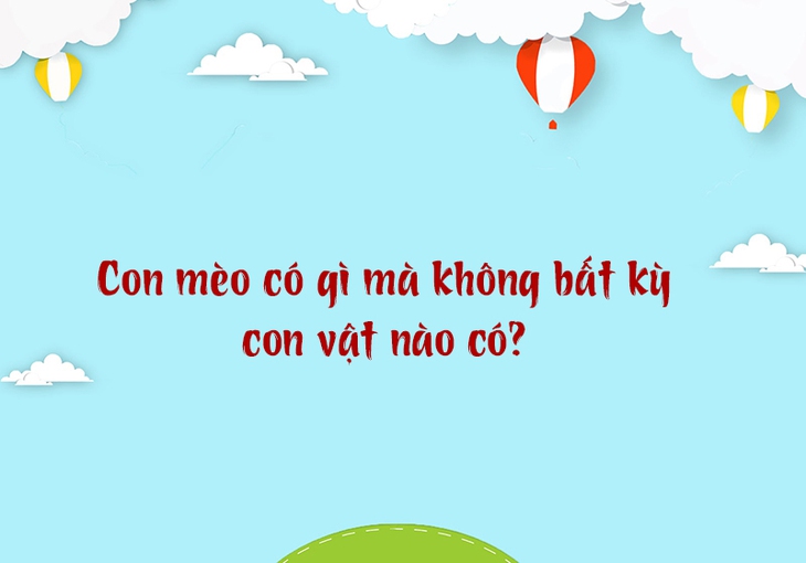 câu đố - Ảnh 3.