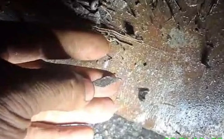 'Đinh tặc' rải 'át rô' bằng inox trên đường Đỗ Mười, vô hiệu hóa xe hút đinh - Ảnh 3.