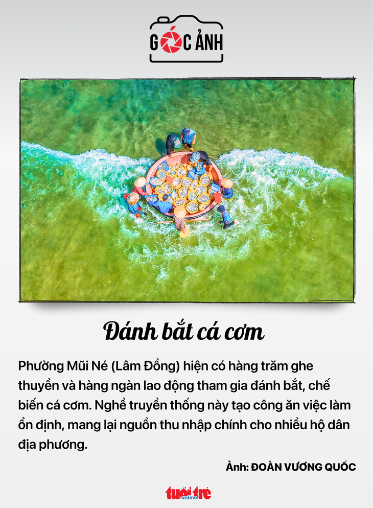 tin tức - Ảnh 9.