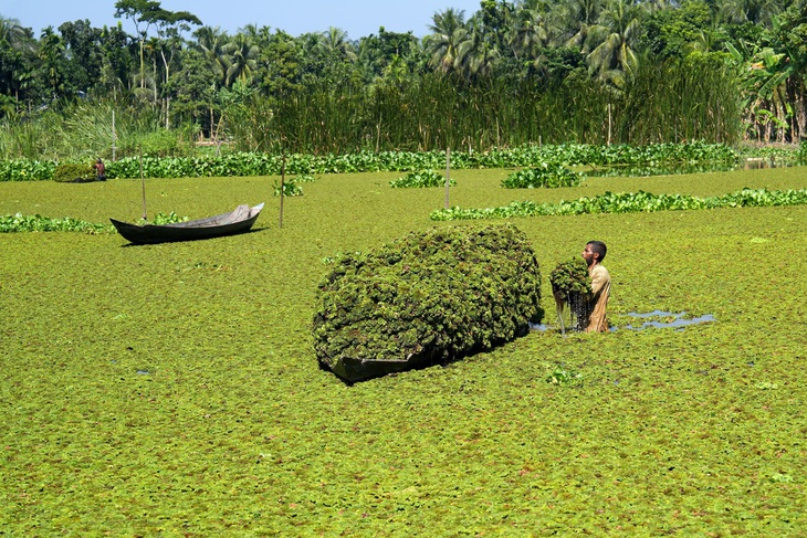 Tin tức thế giới 29-10: Mỹ nói lệnh ngừng bắn Gaza vẫn còn; Washington chi đậm cho vũ khí hạt nhân - Ảnh 9. Tin tức thế giới 29-10: Mỹ nói lệnh ngừng bắn Gaza vẫn còn; Washington chi đậm cho vũ khí hạt nhân - Ảnh 9.