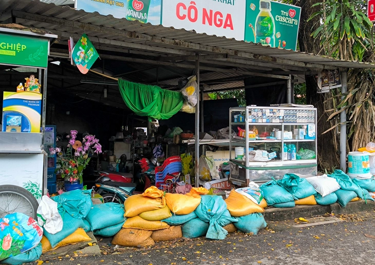 Triều cường cao, kè lởm chởm, dân Bình Quới vừa hết ngập lại lo đợt triều mới- Ảnh 12. Triều cường cao, kè lởm chởm, dân Bình Quới vừa hết ngập lại lo đợt triều mới- Ảnh 12.