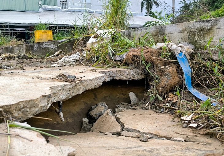 Triều cường cao, kè lởm chởm, dân Bình Quới vừa hết ngập lại lo đợt triều mới- Ảnh 13. Triều cường cao, kè lởm chởm, dân Bình Quới vừa hết ngập lại lo đợt triều mới- Ảnh 13.