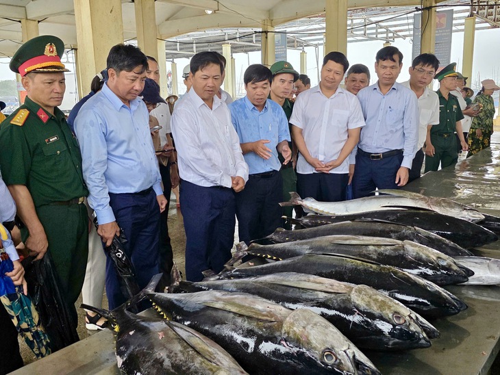 Lắp thiết bị giám sát 100% tàu cá để tránh vi phạm IUU,- Ảnh 1. Lắp thiết bị giám sát 100% tàu cá để tránh vi phạm IUU - Ảnh 1.