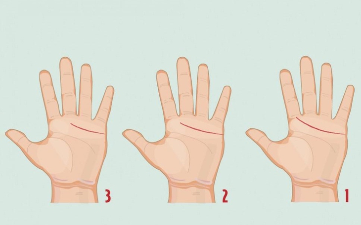 Bạn thông minh, nhạy bén hay là người có tố chất lãnh đạo bẩm sinh? - Ảnh 2.