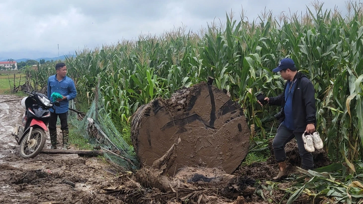 Gia Lai: Xác minh nhóm người đào cây gỗ 'khủng' cạnh sông Ayun - Ảnh 1.