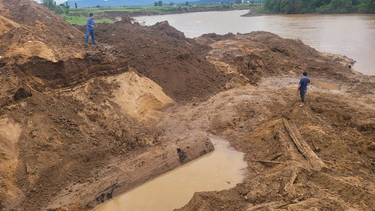 Gia Lai: Xác minh nhóm người đào cây gỗ 'khủng' cạnh sông Ayun - Ảnh 2.