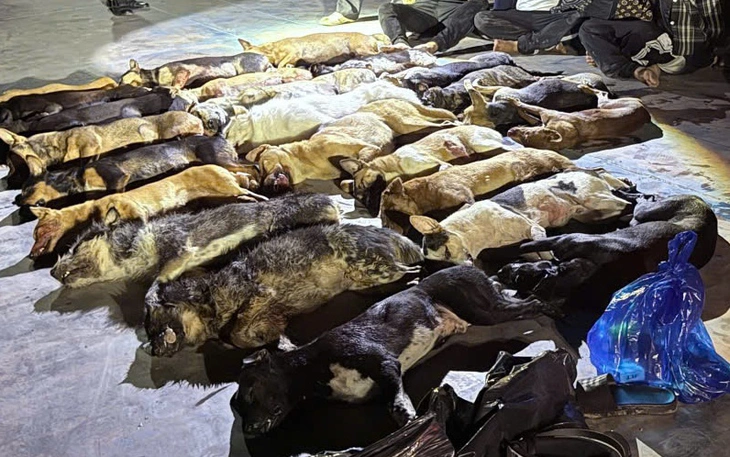 Gửi tin tố giác tội phạm qua ứng dụng VNeID giúp công an bắt 2 kẻ trộm chó - Ảnh 3.