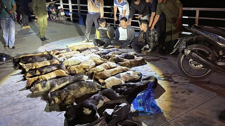 trộm chó - Ảnh 1.